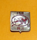 152° Régiment D’Infanterie, écu, émail , Ovale à Un Diable Tenant Une Fourche Sigle Rouges Sur écu  , FABRICANT DRAGO PA - Army