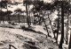 ARCACHON Les Batilles Dans Les Dunes 3(scan Recto-verso) MA1920 - Arcachon