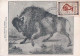 MONACO Carte Maximum Bison  331 - 1949 - 250 Exemplaires - Maximumkarten (MC)