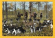 CP Forêt De COMPIEGNE (Oise) Chasse En Forêt 102 - L'Hallali - Hunting