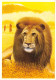 TH-LIONS-N°TB3569-C/0369 - Leeuwen