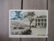 VUE CAVALIERE PALAIS MONACO ET PAYSAGE LOUISIANE 100 F LOT 2 CM CARTE MAXIMUM - Maximum Cards