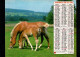 1981 ALMANACH DES P T T 1981 - PRIX FIXE - Big : 1981-90