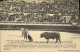 CPA Corrida Course De Taureaux La Corrida De Toros Troisieme Tercio - Stierkampf