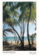 Martinique -  Bord De Mer A SAINTE ANNE - Altri & Non Classificati