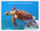 Christmas Islands 2025 Turtle - Christmas Island Turtles - MINT / BLANK Maxim / Picture Post Card PPC As Per Scan - Turtles
