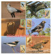 LIBYA 1995 Birds Wildlife With Owl Owls (6 Maximum-cards) - Other & Unclassified