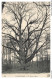 AVWP11-0627-ARBRE - Compiegne - Le Gros Chene - Bäume