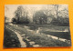 WESTERLO  -  WESTERLOO  -   Rond  -  1910 - Westerlo