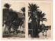 Biskra 6 Postcards - Biskra