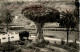 Icod Teneriffe - Tenerife