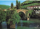 64-BIDARRAY-LE PONT DU DIABLE-N°7047-D/0107 - Bidarray