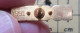 Pin511b        MARQUE LOCATEL - Marques