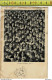 51552 - FLORES CHILENAS NO 2 - Chile