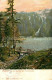 Seebuck Mit Feldsee - Feldberg