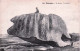 29 -  BRIGNOGAN -   Le Cochon - Brignogan-Plage