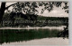 Usingen Hattstein Weiher Schwimmbad - Usingen