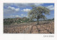 18 SANCERRE VIGNOBLES - Sancerre