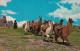PEROU(TYPE) - Peru
