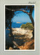 83 BANDOL - Bandol