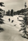 SPORT SKI - Wintersport