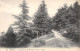63-ROYAT-N°3330-E/0031 - Royat