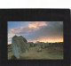 56 CARNAC LES ALIGNEMENTS - Carnac