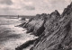 29 PLOGOFF POINTE DU RAZ - Plogoff