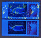 Delcampe - VARIETE CAGOU PERSONNALISE LOGO POISSON CHIRURGIEN A POITRINE BLANCHE 2025 EXTRAIT D'UNE FEUILLE DE 10 TIMBRES TB - Unused Stamps