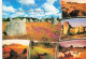 56 CARNAC - Carnac