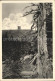 Brocken Harz - Wernigerode