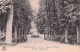 92 SAINT CLOUD LE PARC ALLEE DE CENTAURE - Saint Cloud
