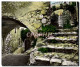 CPM Eze L'entree Du Museum - Eze