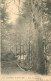 38 - ALLEVARD LES BAINS - Allevard