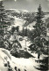 38 - CHAMROUSSE - Chamrousse