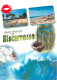 40 - BISCARRROSSE - Biscarrosse