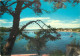 40 - HOSSEGOR - Hossegor