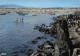 34 AGDE LE CAP D AGDE - Agde