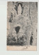 Statte Grotte - Huy