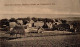 Delcampe - Salem (o-2041) 1919 II (Eckknick) - Sonstige & Ohne Zuordnung