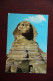 EGYPTE - The SPHINX - Gizeh