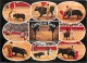 CPM De Toros Corrida Taureau - Stierkampf