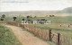 Folkestone - Golf Links - Golf
