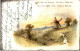 Windmühle - Windmühlen