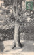 88-EPINAL-N°T2218-A/0163 - Epinal
