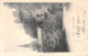 70-GRAY-N°646-D/0203 - Gray