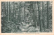 63-CHATEL GUYON-N°T2221-B/0261 - Châtel-Guyon