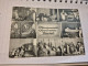 Week-itternal - Mãrchenwald - Solingen/wald - - Solingen