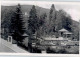 Triberg Burggarten - Triberg