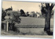 Lieberose - Lieberose